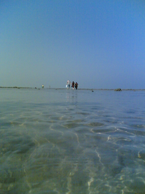 coral walk at Narara